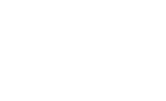 7th Sentinel